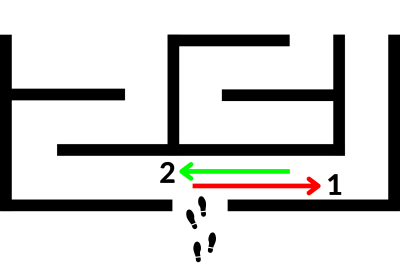 A Maze Used to Illustrate Pin Bar Reversal Theory